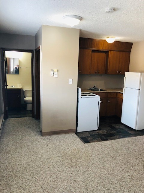 College DR Bachelor For Rent- September 1